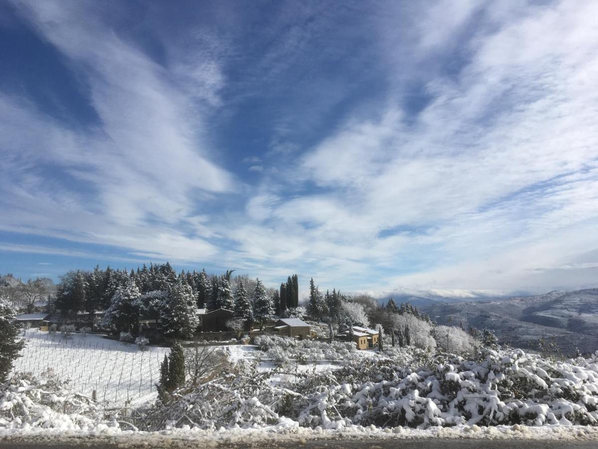 Casa Ercole Farm Stay Greve in Chianti Eksteriør billede