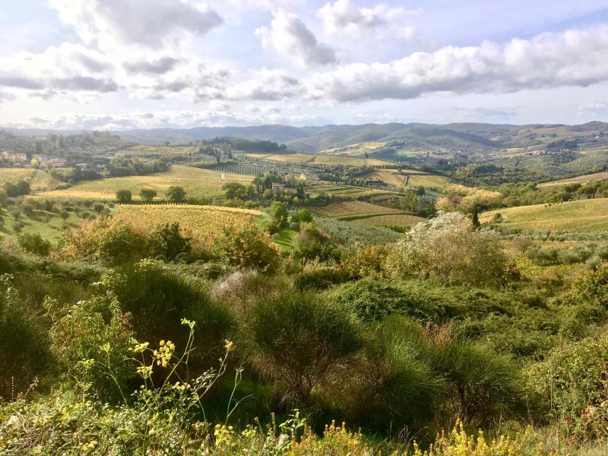 Casa Ercole Farm Stay Greve in Chianti Eksteriør billede