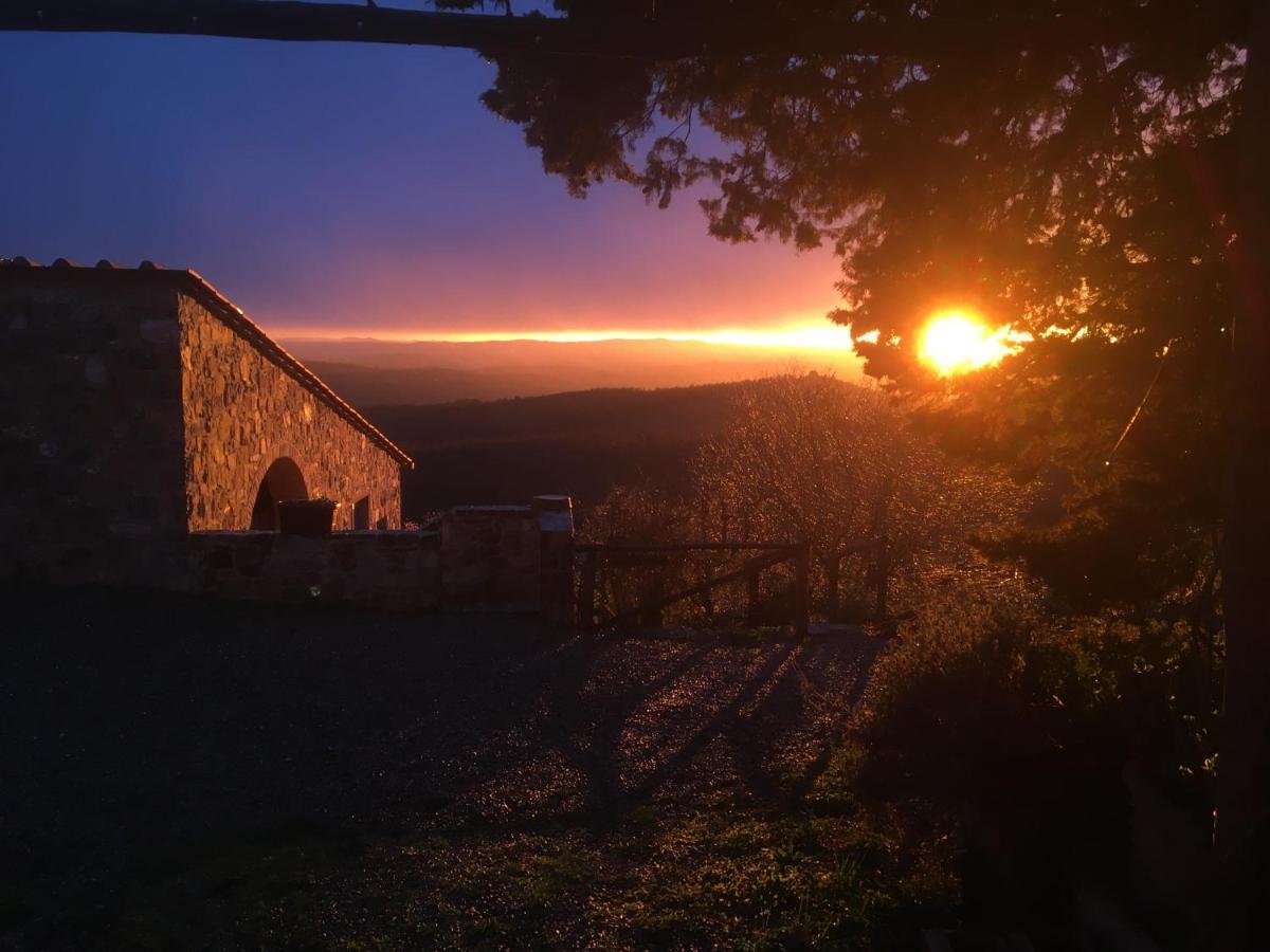 Casa Ercole Farm Stay Greve in Chianti Eksteriør billede