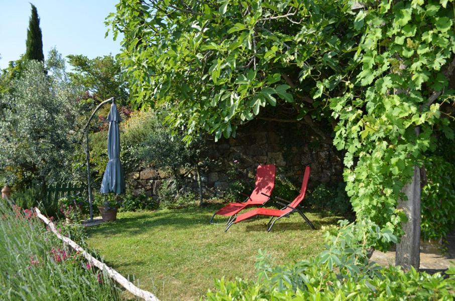 Casa Ercole Farm Stay Greve in Chianti Eksteriør billede