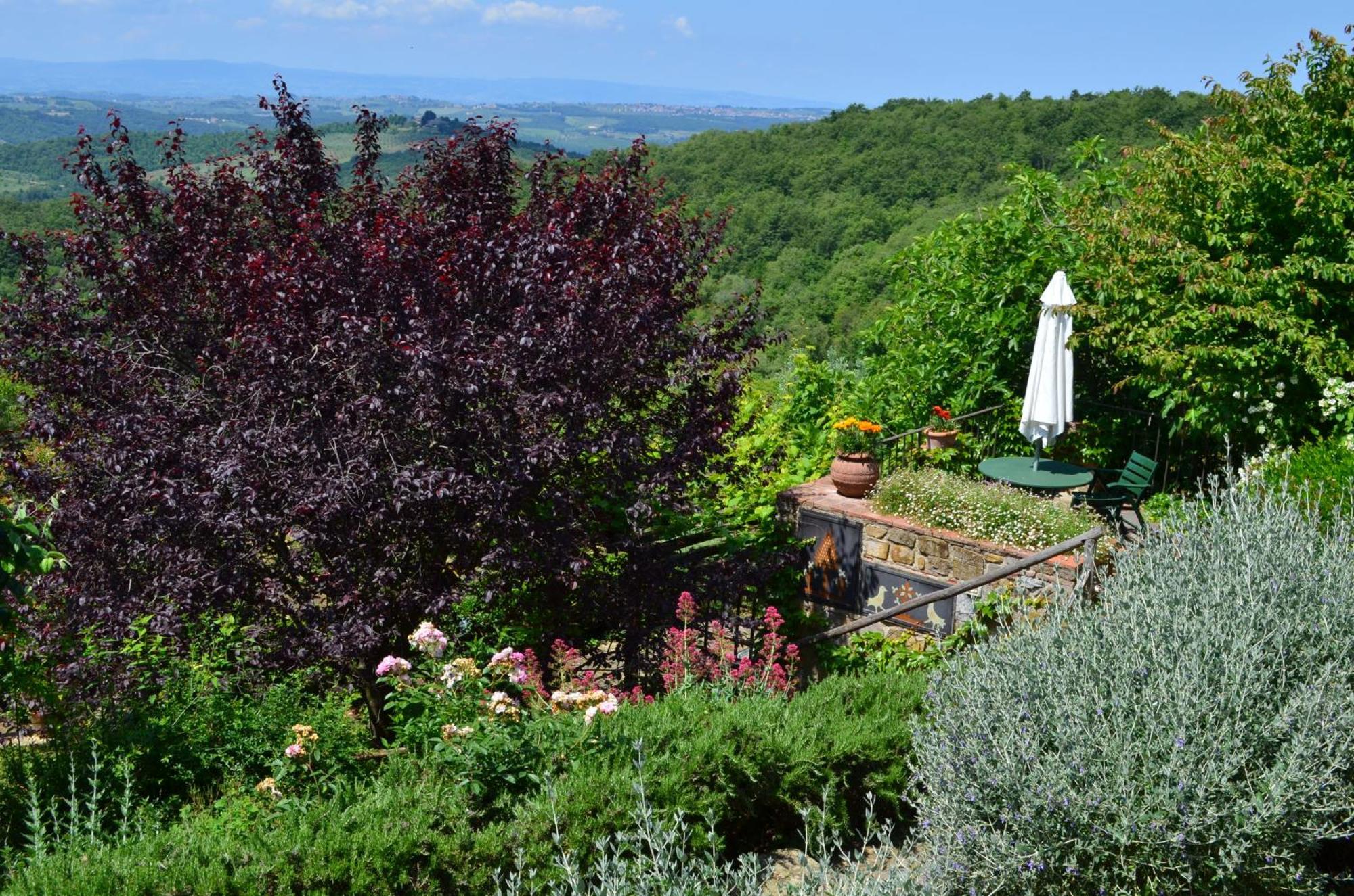 Casa Ercole Farm Stay Greve in Chianti Eksteriør billede