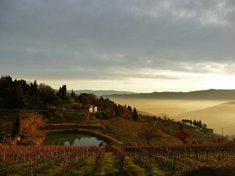 Casa Ercole Farm Stay Greve in Chianti Eksteriør billede