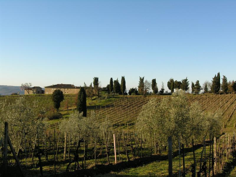 Casa Ercole Farm Stay Greve in Chianti Eksteriør billede