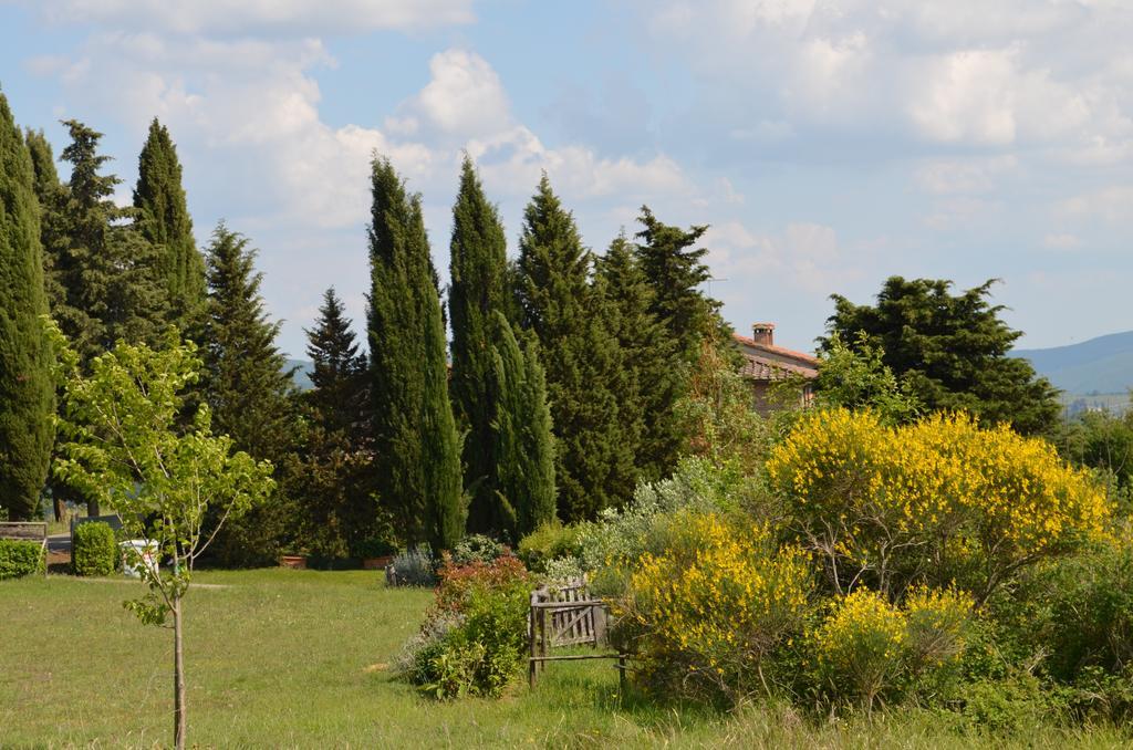 Casa Ercole Farm Stay Greve in Chianti Eksteriør billede