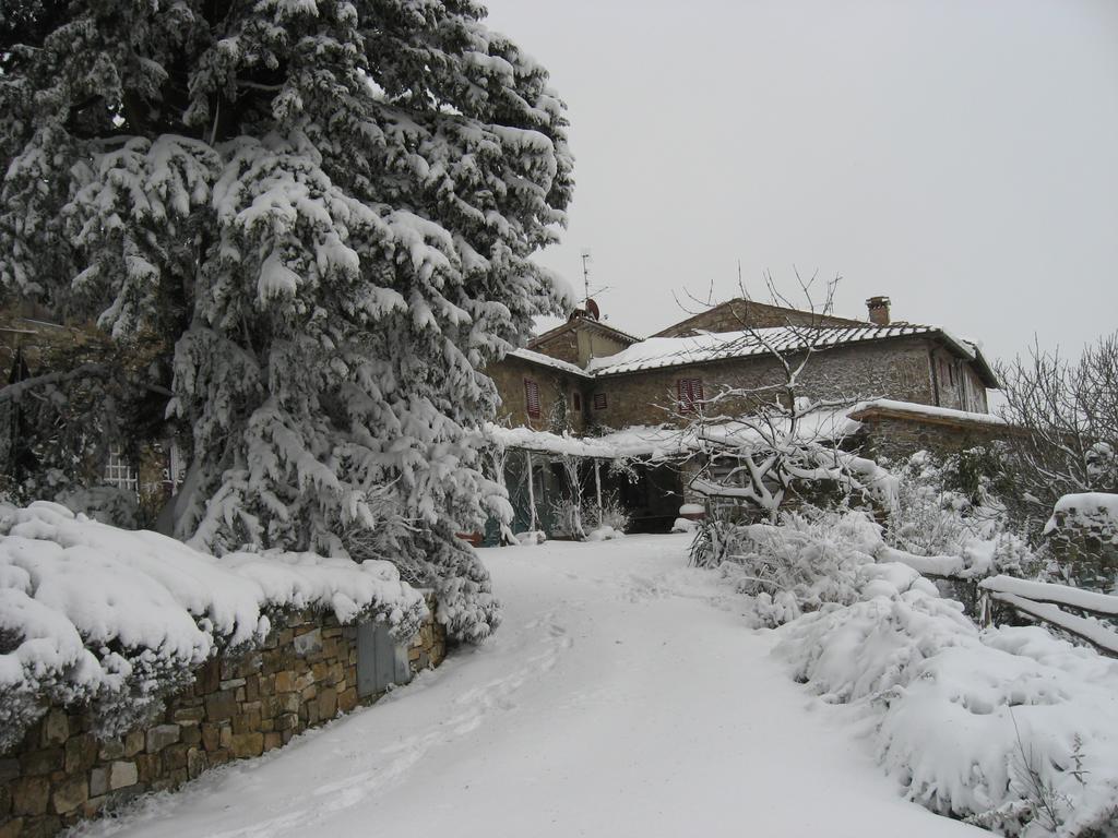 Casa Ercole Farm Stay Greve in Chianti Eksteriør billede